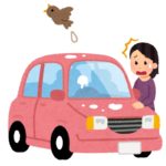【ボンネットの鳥フンを放置したらダメ】車の塗装には大ダメージ。洗車機をかけてもいいの？