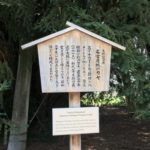 【名古屋城の必勝かやの木・樹齢600年の必勝パワースポット】意外な見どころ、開運の天然記念物