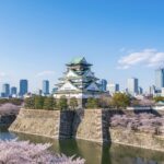 【歴史の謎】真田幸村は生きていた？ 秀頼・国松を導いた「薩摩落ち」伝説の真実