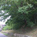 幻の「三角山」を追う:名古屋城外堀に埋もれた防空壕の記憶