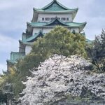【1000年企業が名古屋に！】平安時代から続く「木地師」の技。超老舗トップ3の驚愕の創業秘史