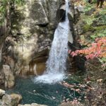 🌲 山に生き、技を継ぐ：平安時代から続く「木地師」の驚異の歴史と山渡り