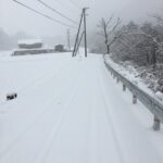 命を守る合図!寒い時期の必需品「猫バンバン」のススメ